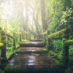 The Importance of Responsible Travel in Addressing Climate Change