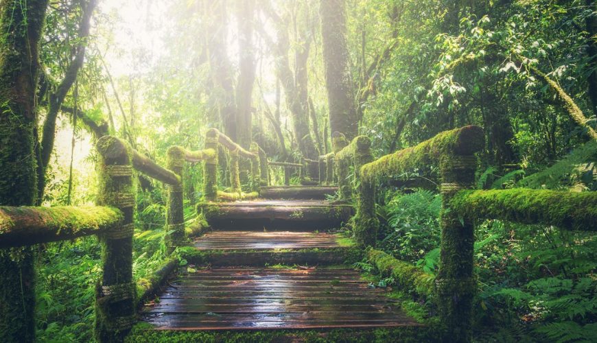 The Importance of Responsible Travel in Addressing Climate Change