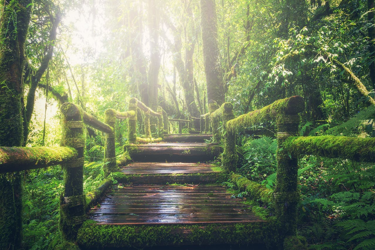 The Importance of Responsible Travel in Addressing Climate Change