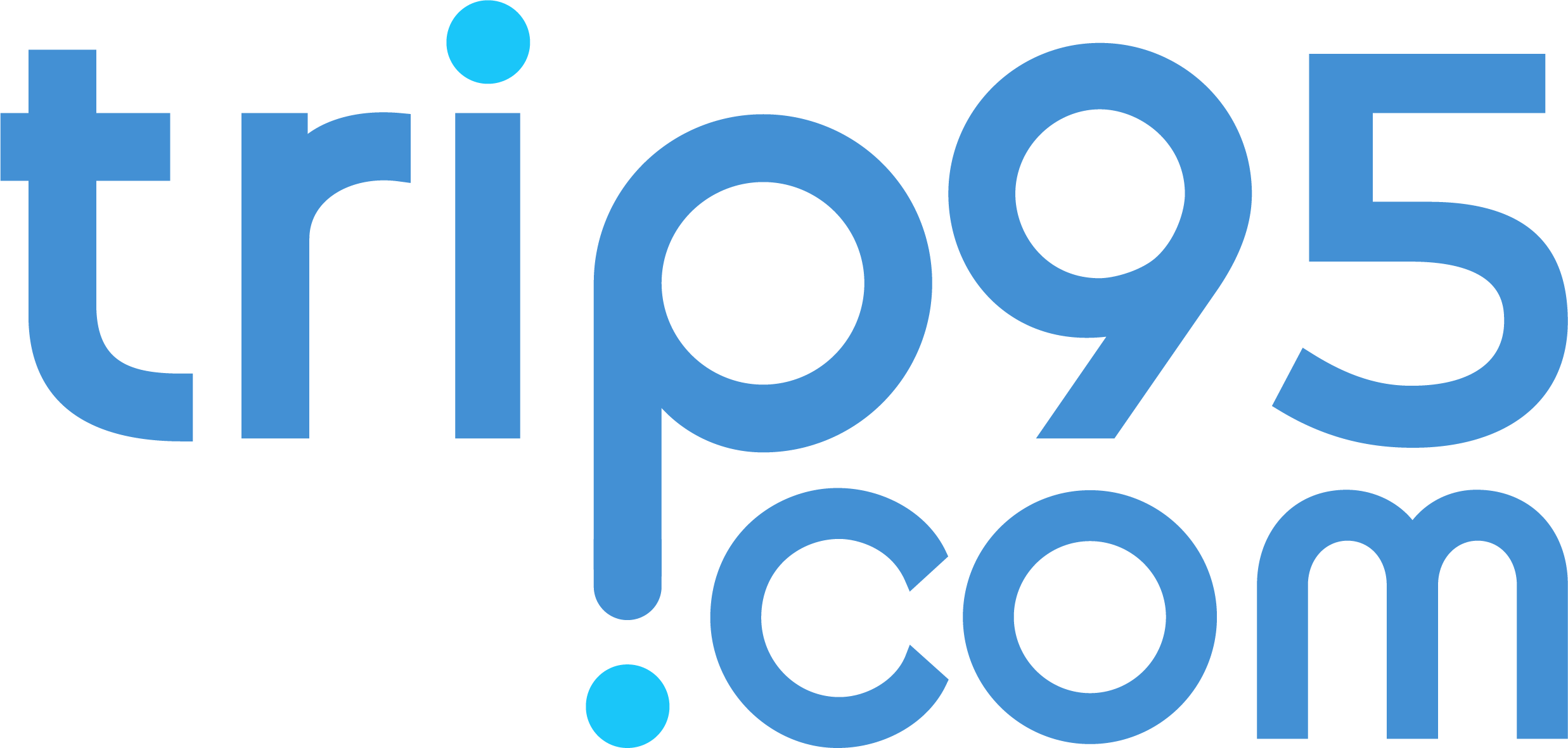 trip95.com